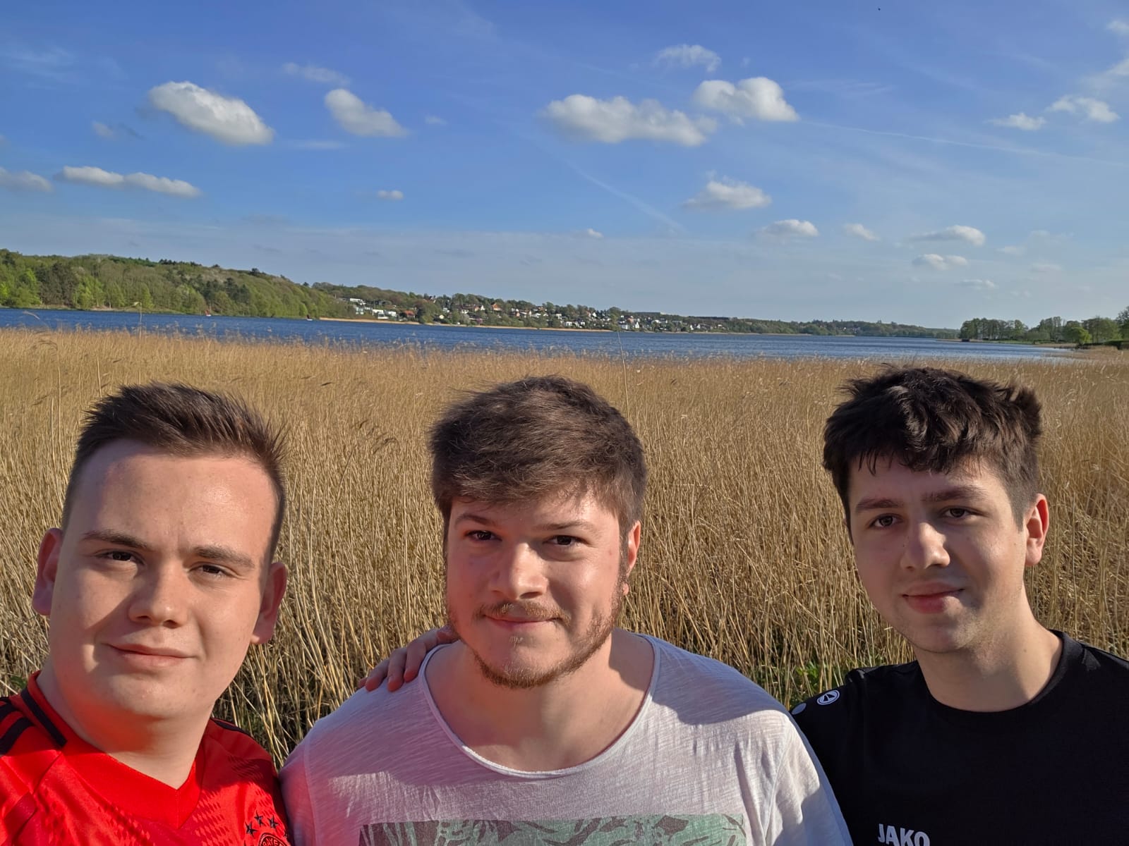 Northern lake in Viborg